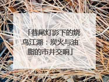 巷尾灯影下的烧鸟江湖：炭火与油脂的市井交响